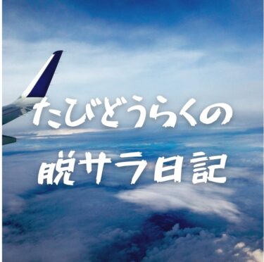 私が脱サラしたい理由